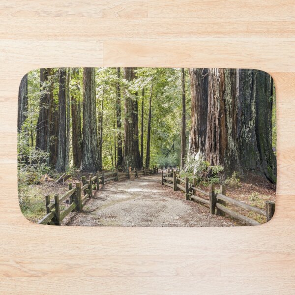 Item preview, Old Redwoods Grove at Big Basin Redwoods State Park designed and sold by yhelfman.