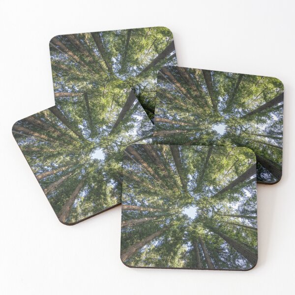 Item preview, Circle of Coast Redwoods designed and sold by yhelfman.