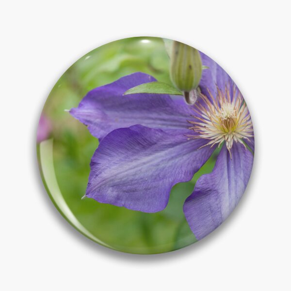 Item preview, flower posters art prints t-shirts phone cases mugs etc designed and sold by craigewmcg123.