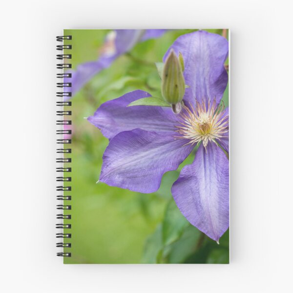 Item preview, flower posters art prints t-shirts phone cases mugs etc designed and sold by craigewmcg123.