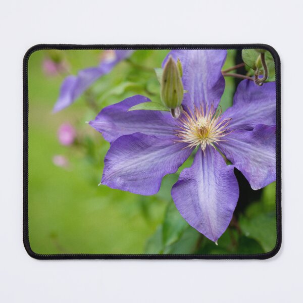 Item preview, flower posters art prints t-shirts phone cases mugs etc designed and sold by craigewmcg123.