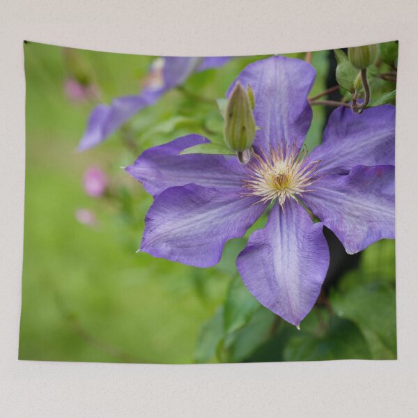 Item preview, flower posters art prints t-shirts phone cases mugs etc designed and sold by craigewmcg123.