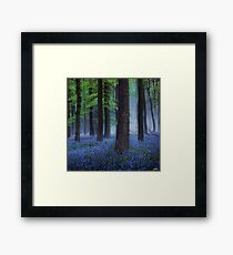 Misty Blue Framed Print