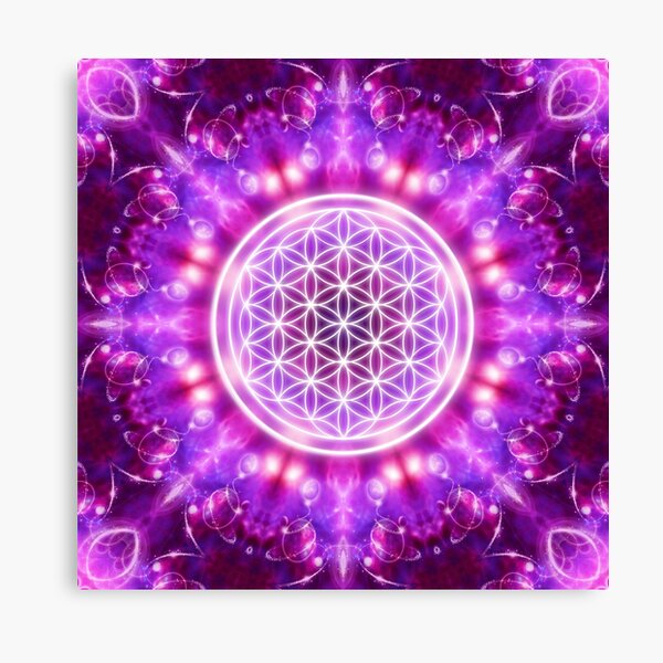 Flower of Life - Transformation Leinwanddruck