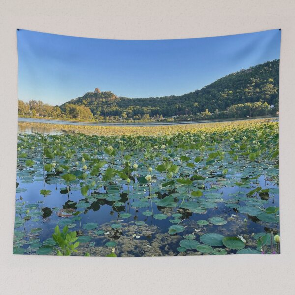 Artikelvorschau, Lotusblumen am Lake Winona entworfen und verkauft von emikat-art.