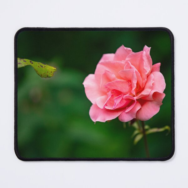 Item preview, flower posters art prints t-shirts phone cases mugs etc designed and sold by craigewmcg123.