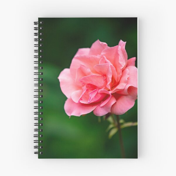 Item preview, flower posters art prints t-shirts phone cases mugs etc designed and sold by craigewmcg123.