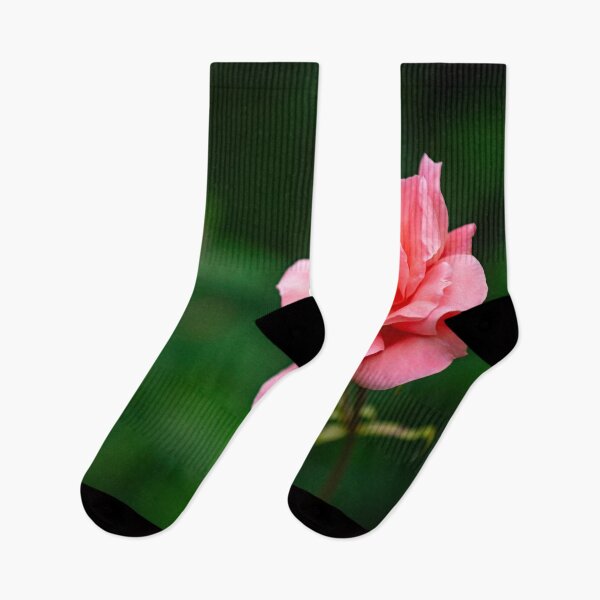 Item preview, flower posters art prints t-shirts phone cases mugs etc designed and sold by craigewmcg123.