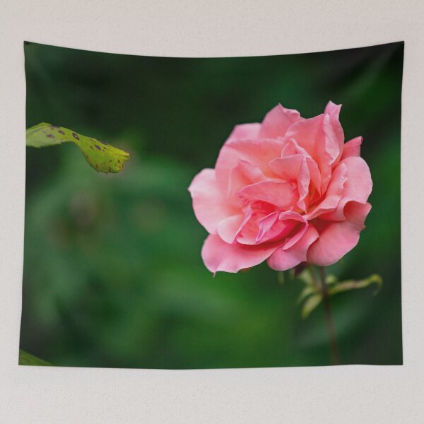 Item preview, flower posters art prints t-shirts phone cases mugs etc designed and sold by craigewmcg123.