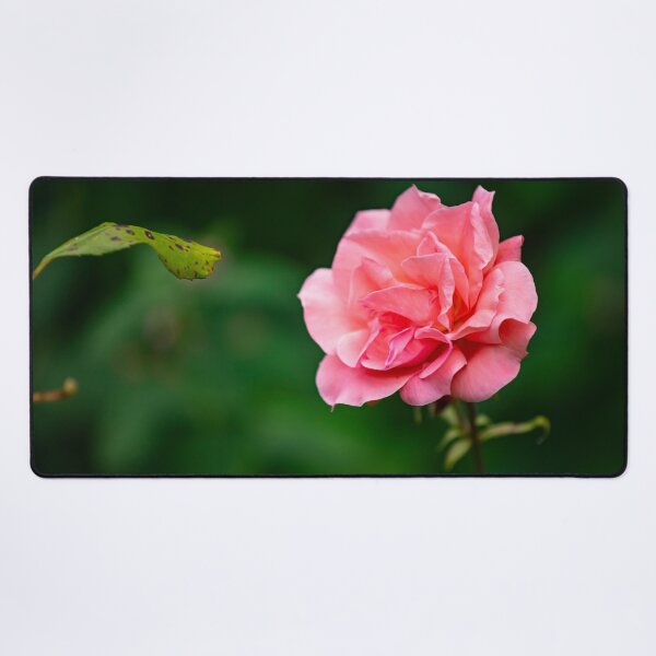 Item preview, flower posters art prints t-shirts phone cases mugs etc designed and sold by craigewmcg123.