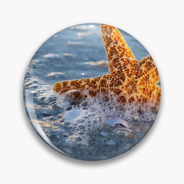 Item preview, She Sells, Sea Shells designed and sold by PhilipBrown.