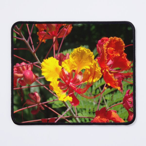 Item preview, Glorious Garden designed and sold by rosiebrown.