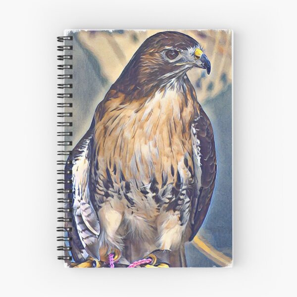 Item preview, Red-Tailed Hawk designed and sold by Sharon the Zoo Lady Photography .