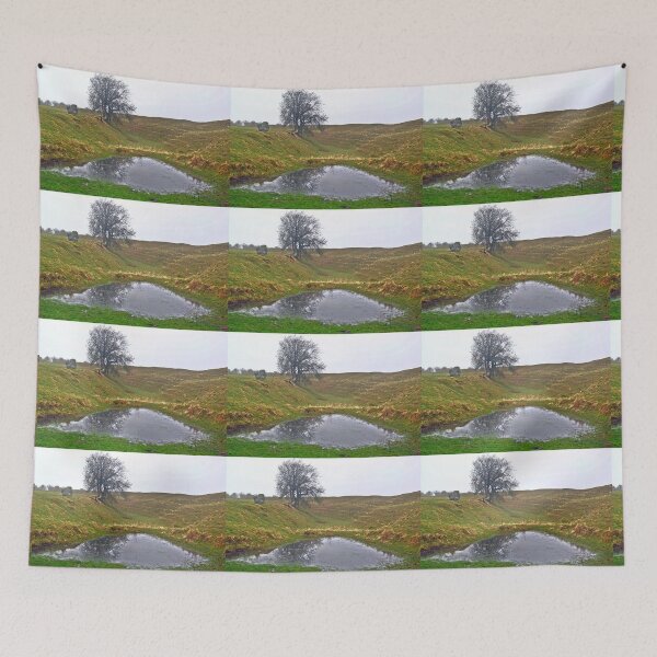 Item preview, Avebury Pond Reflection D designed and sold by VikingVisual.