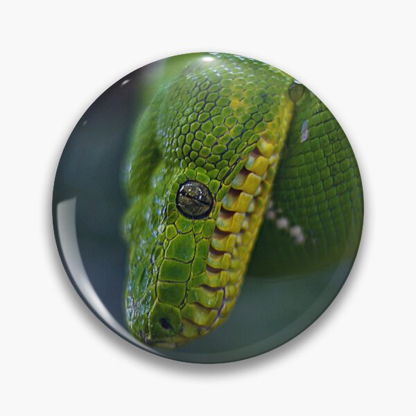 Item preview, Green tree python designed and sold by AlexHodder.