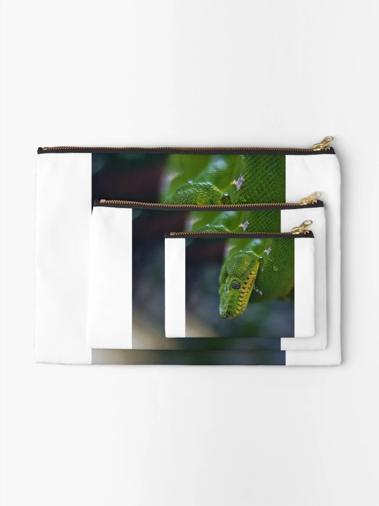 Thumbnail 2 of 4, Zipper Pouch, Green tree python designed and sold by AlexHodder.
