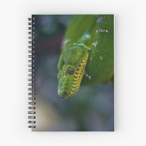 Item preview, Green tree python designed and sold by AlexHodder.