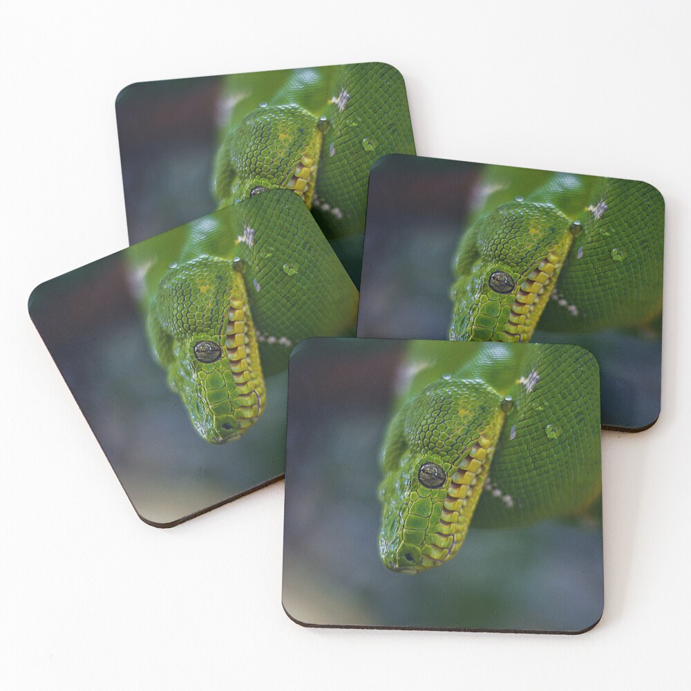 Item preview, Coasters (Set of 4) designed and sold by AlexHodder.