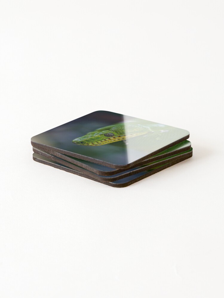 Thumbnail 4 of 5, Coasters (Set of 4), Green tree python designed and sold by AlexHodder.