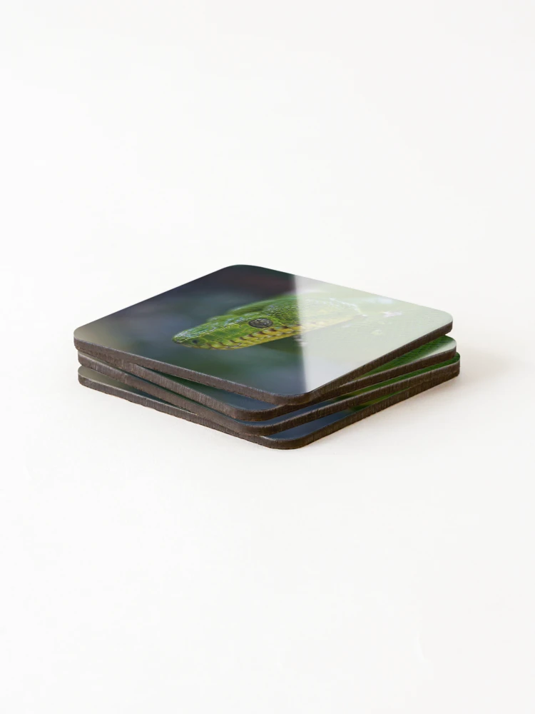 Thumbnail 4 of 5, Coasters (Set of 4), Green tree python designed and sold by AlexHodder.