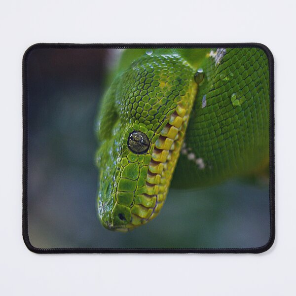 Item preview, Green tree python designed and sold by AlexHodder.