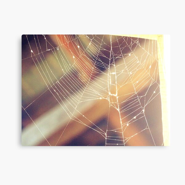 Item preview, Spider web designed and sold by PicsByMi.