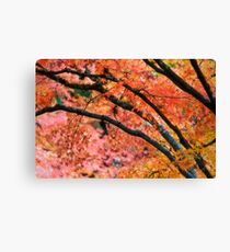 Kaleidoscopic Canvas Print