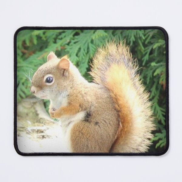 Item preview, A Special Vistor designed and sold by Marie Leblanc.