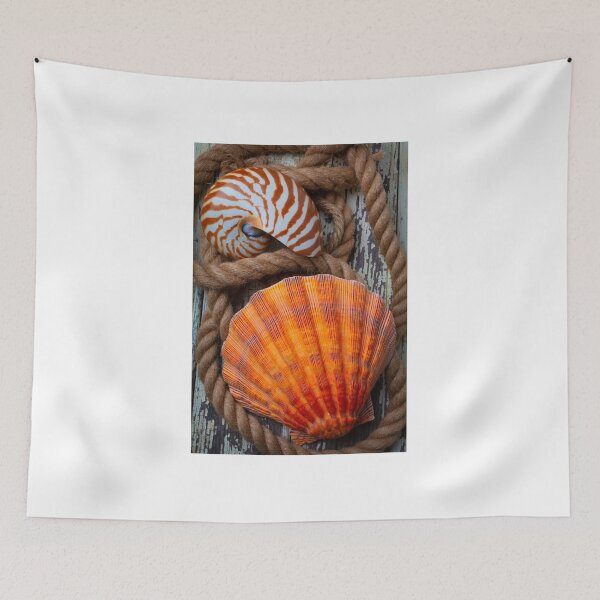 Item preview, Sea Shell And Nautilus In Rope designed and sold by Garry Gay.