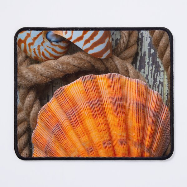 Item preview, Sea Shell And Nautilus In Rope designed and sold by Garry Gay.
