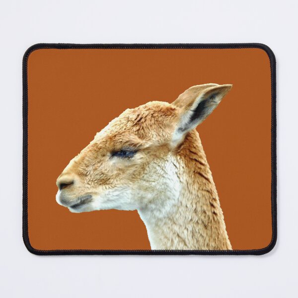 Item preview, Vicuña side eye (orange brown background) designed and sold by PowerfulPhotos.