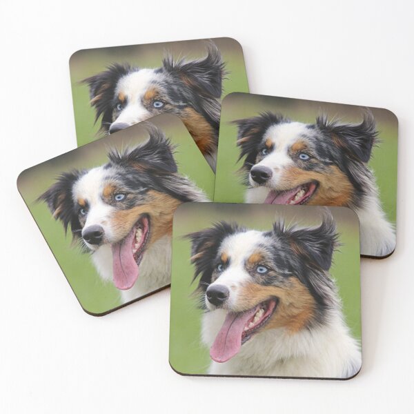 Item preview, Blue Merle Australian Shepherd Best Friend, Berger Australien designed and sold by DesignVertex.