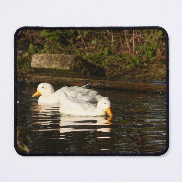 Item preview, white ducks on pond designed and sold by Francespoppy.