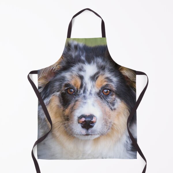 Item preview, Blue Merle Australian Shepherd Best Friend, Berger Australien designed and sold by DesignVertex.