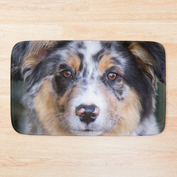 Item preview, Blue Merle Australian Shepherd Best Friend, Berger Australien designed and sold by DesignVertex.