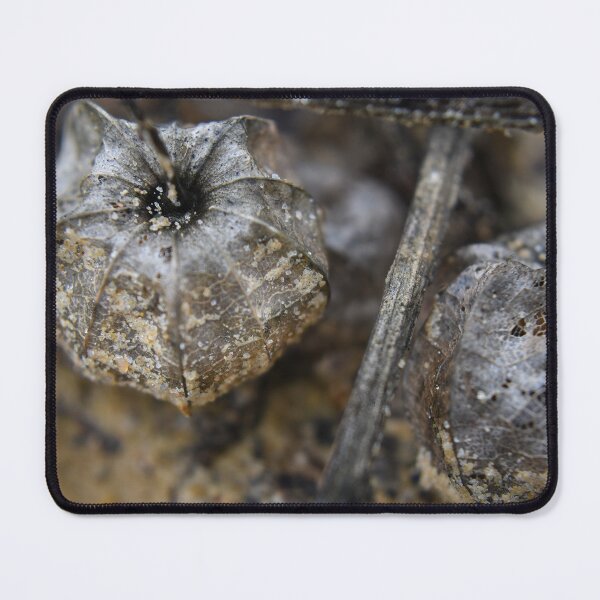 Item preview, Winter - Reservoir designed and sold by exiledeye.