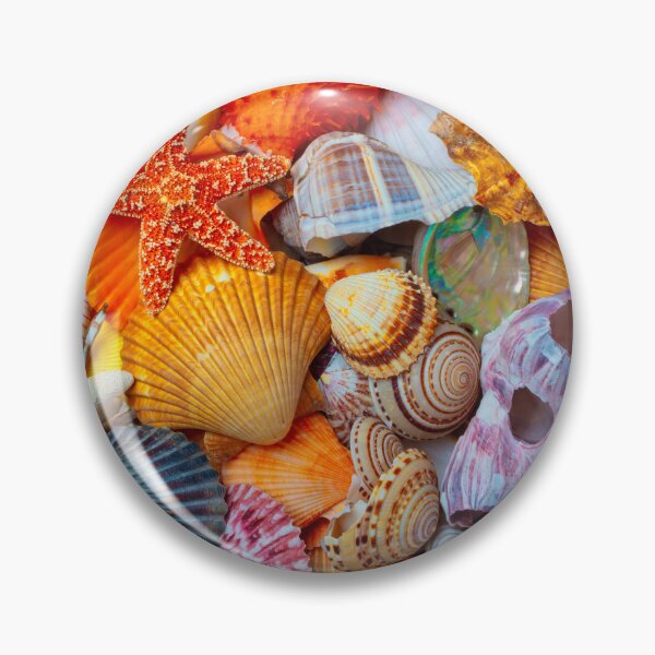Item preview, Sea Treasures Of Beautiful Shells designed and sold by Garry Gay.