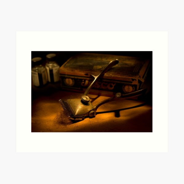 Trimmed nostalgia Art Print