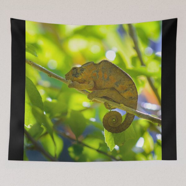 Item preview, The Sleeping or Panther Chameleon designed and sold by Gaël FONTAINE.