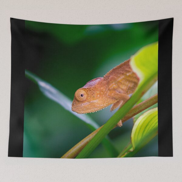 Item preview, The Sleeping or Panther Chameleon designed and sold by Gaël FONTAINE.