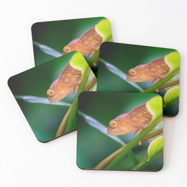 Item preview, The Sleeping or Panther Chameleon designed and sold by Gaël FONTAINE.