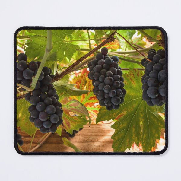 Item preview, Fruits of the vine  designed and sold by hawkie.