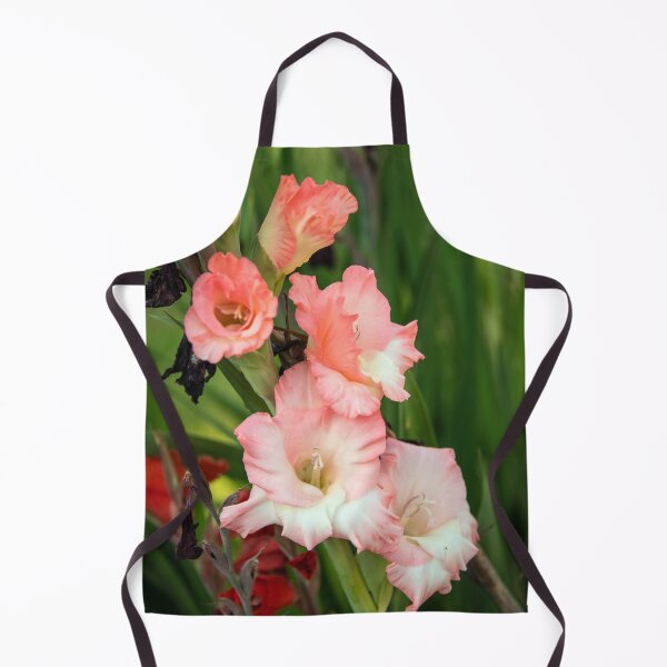 Item preview, Gladioli designed and sold by hawkie.