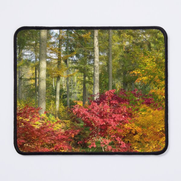 Item preview, Autumn Arboretum designed and sold by hawkie.