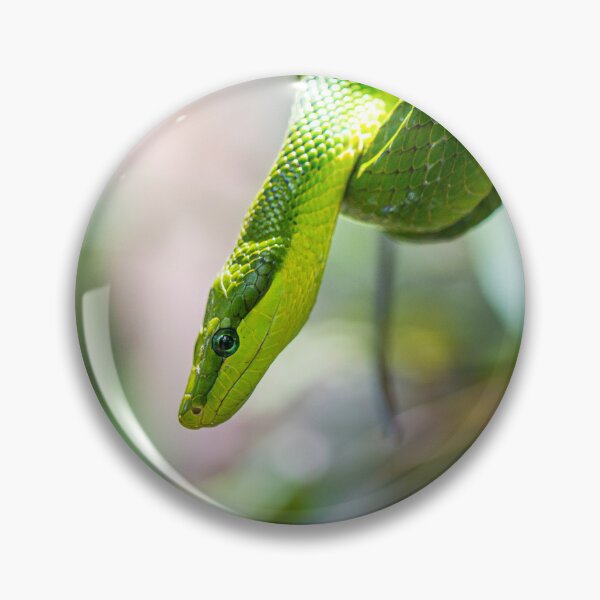 Item preview, The green python designed and sold by Gaël FONTAINE.