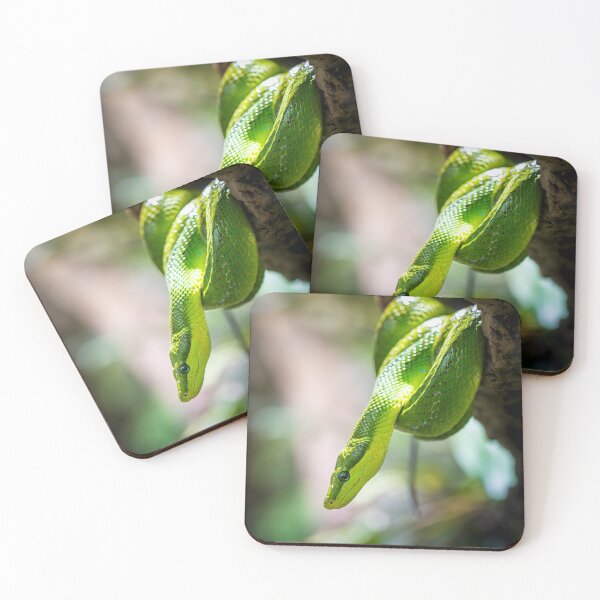 Item preview, The green python designed and sold by Gaël FONTAINE.