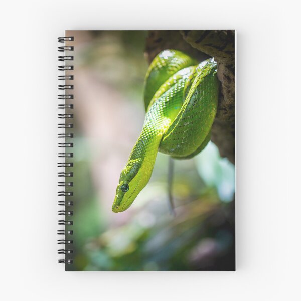 Item preview, The green python designed and sold by Gaël FONTAINE.