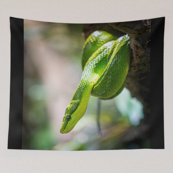 Item preview, The green python designed and sold by Gaël FONTAINE.