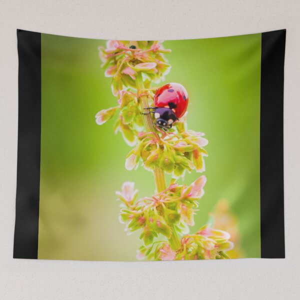 Item preview, ladybug on a branch designed and sold by Gaël FONTAINE.