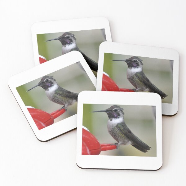 Item preview, CUTE MALE HUMMER WAITING FOR PARTNER designed and sold by JAYMILO.
